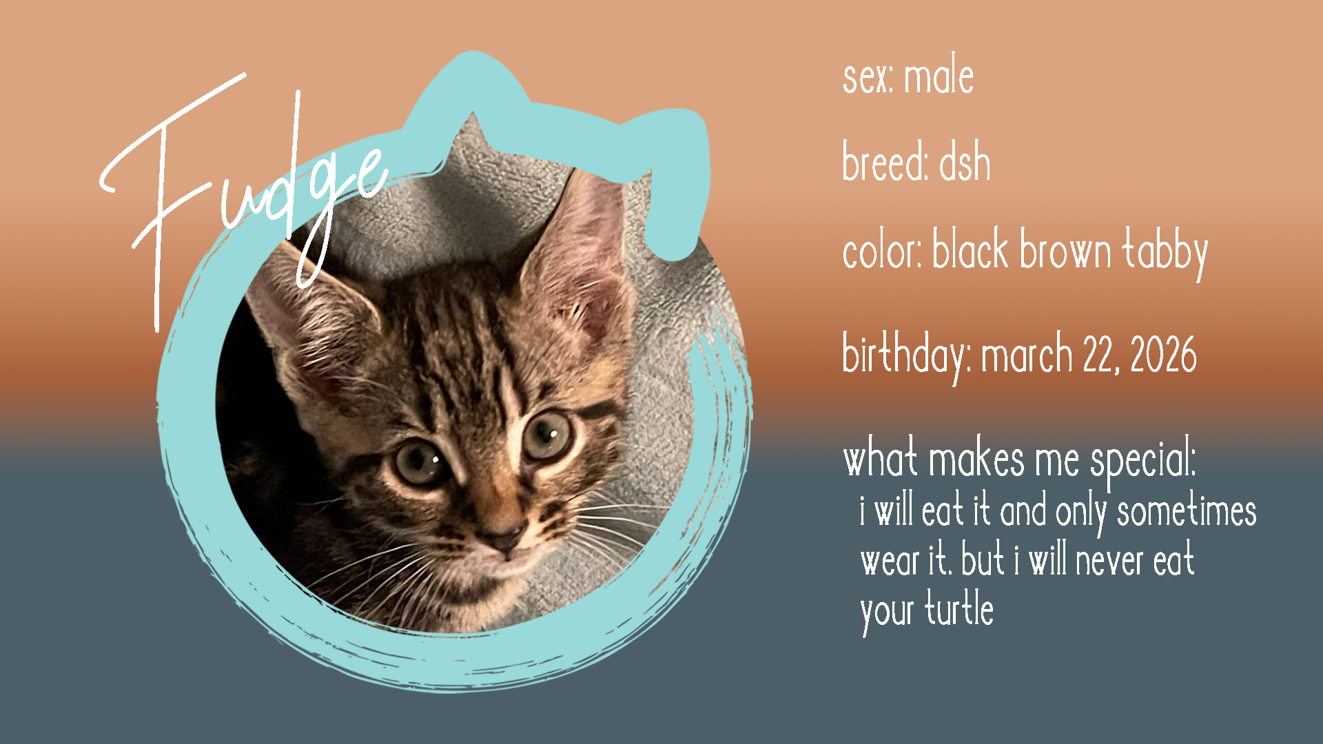 Fudge
