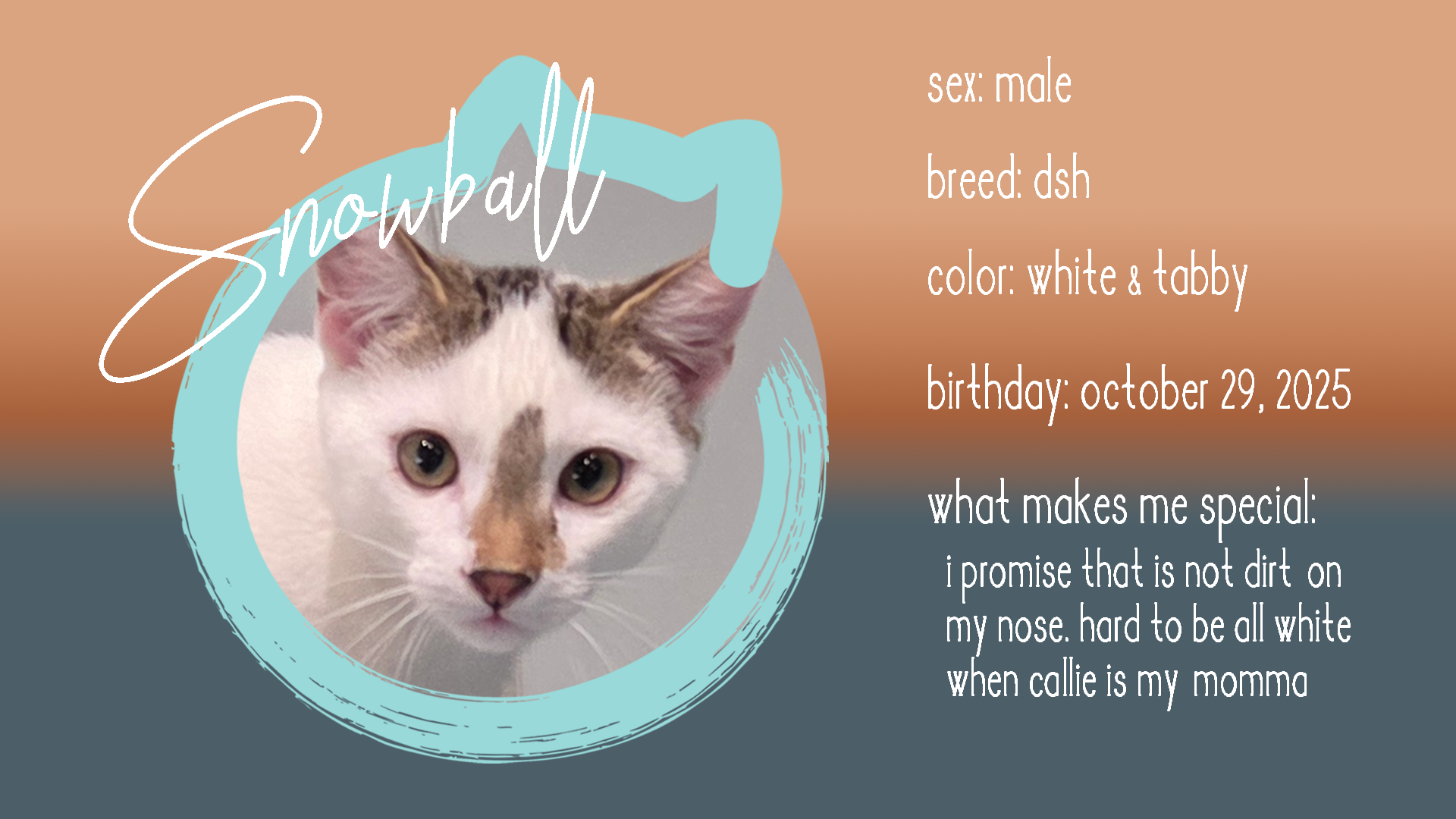 Snowball