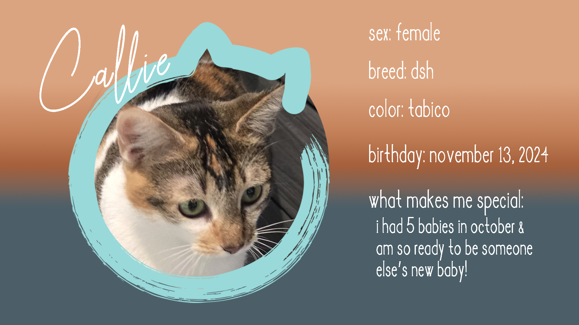 Callie